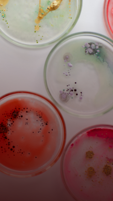 ¿Qué es la resistencia antimicrobiana y por qué debería importarnos?