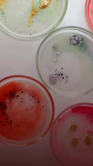 ¿Qué es la resistencia antimicrobiana y por qué debería importarnos?