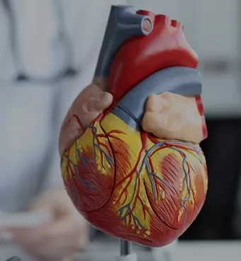 ¿Qué es una miocardiopatía?
