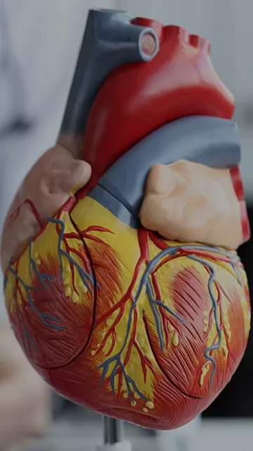 ¿Qué es una miocardiopatía? 